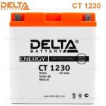 Аккумулятор Delta CT 1230 (12V / 30Ah) [YTX30L-BS, YB30L-B, YTX30L]