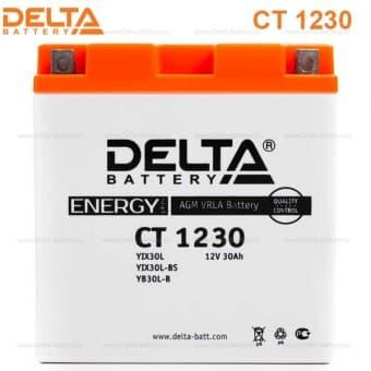 Аккумулятор Delta CT 1230 (12V / 30Ah) [YTX30L-BS, YB30L-B, YTX30L]