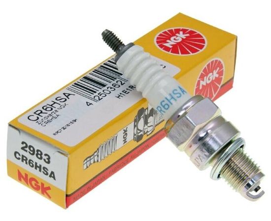 6fc3cc26 4925 11ec 88a8 04d9f5abf39e 6fc3cc28 4925 11ec 88a8 04d9f5abf39e.jpeg